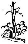 Logo - Explorers Tree