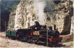 Wolgan Valley Shay locomotive